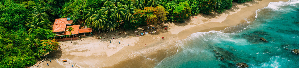 Uma costa tropical vista do ar, com uma praia de areia e palmeiras frondosas.